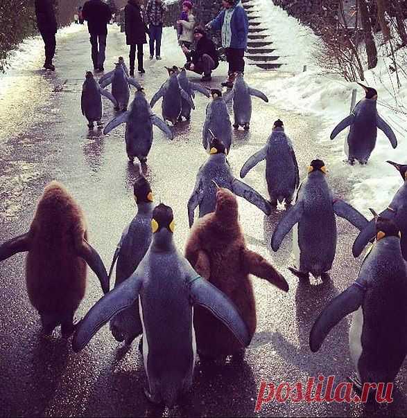 Диалоги