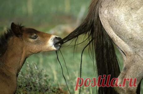 Интересные новости