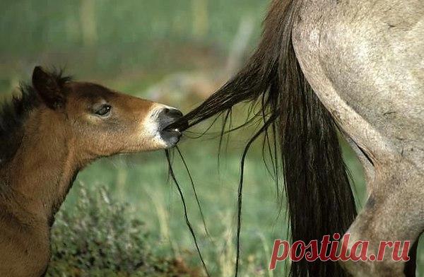 Интересные новости