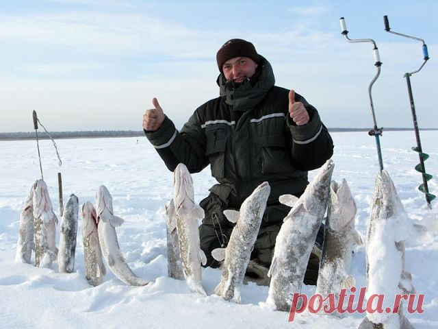 Наталья Орехова / Титова /
58 лет, Россия, Красноярск