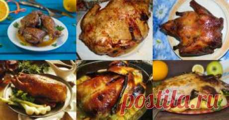 Новогодняя утка на новый год - 28 рецептов - 1000.menu Утка на Новый год - быстрые и простые рецепты для дома на любой вкус: отзывы, время готовки, калории, супер-поиск, личная КК