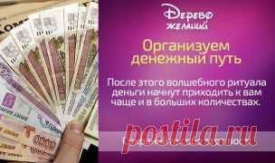 (56) Одноклассники