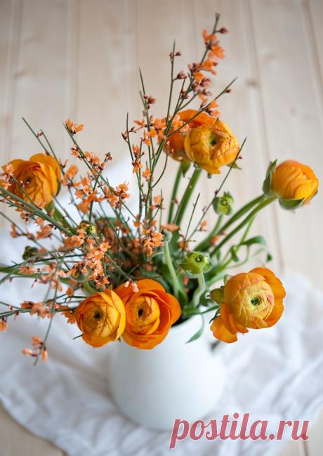 флористика