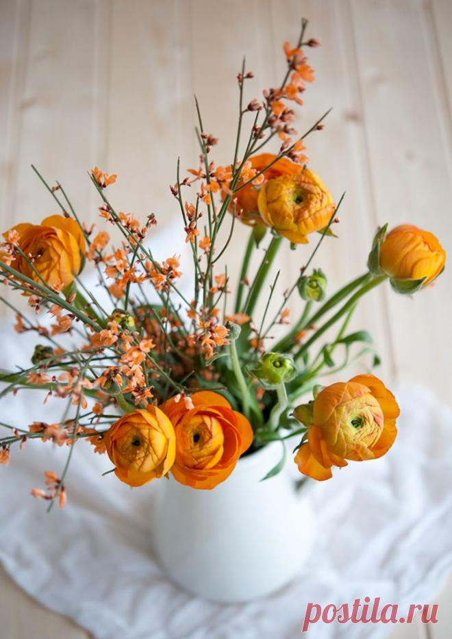 флористика