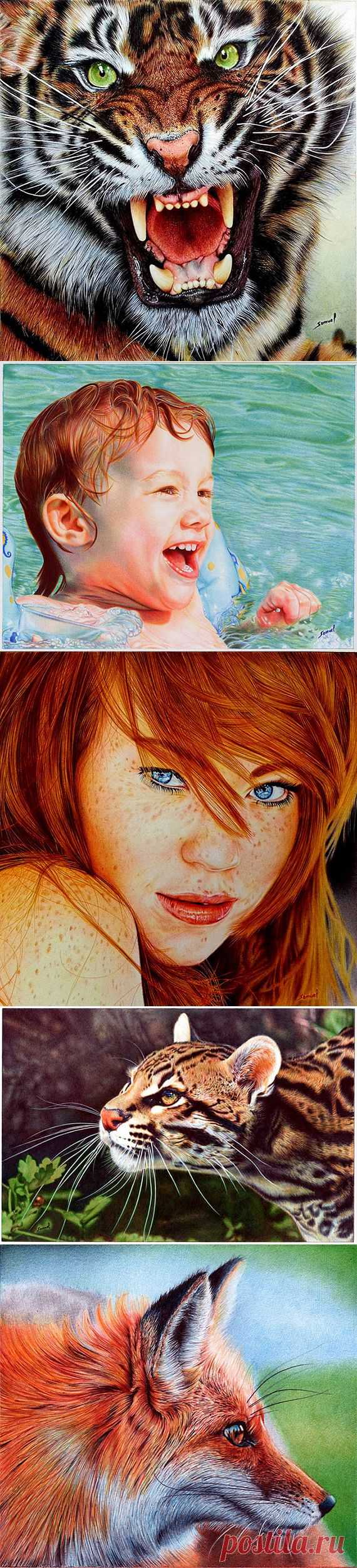 Сэмюэль Сильва: картины шариковой ручкой | Сделай сам!