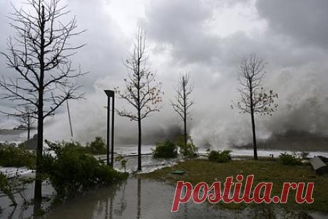 Еще один человек погиб во время шторма на юге России. Еще один человек погиб во время мощного шторма, охватившего юг России. О смерти еще одного россиянина рассказали в экстренных службах Краснодарского края. Как сообщил собеседник агентства, тело мужчины обнаружили в Новороссийске. Таким образом, число жертв шторма выросло до четырех.