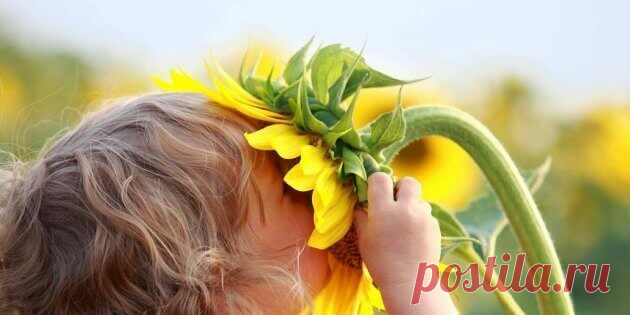 10 лучших духовных практик на Ключах Мастерства Мы собрали наиболее эффективные духовные практики, которые регулярно используют наши ученики и читатели, и достигают высоких результатов в развитии. Топ-10!