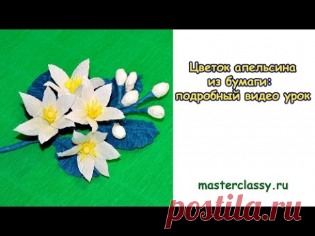 DIY. Paper flowers tutorial. Цветок апельсина из бумаги: подробный видео урок