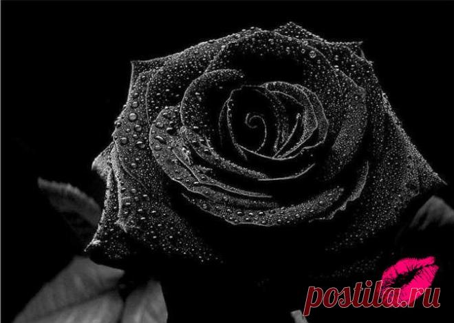 Архив открыток отправленных 30 Мая 2014 года. Добавили: Юрий Бобаренко, Роза , Raisa Vodneva, Юрий Марков, Тата Тата, София Smirnova, Женя Михайлов