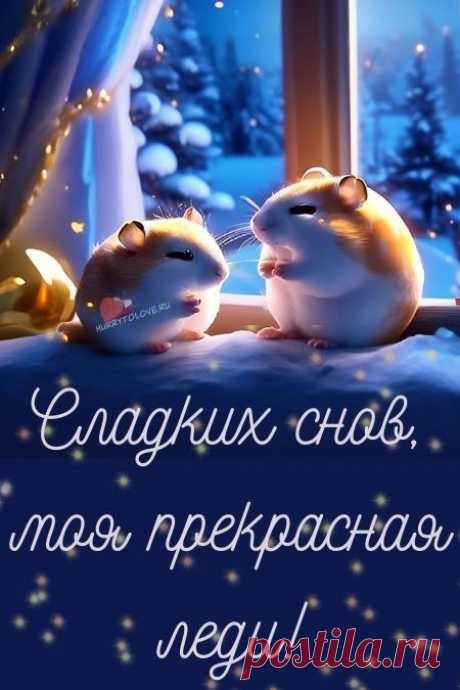 "Спокойной ночи" - картинки зимние женщине(56шт.)