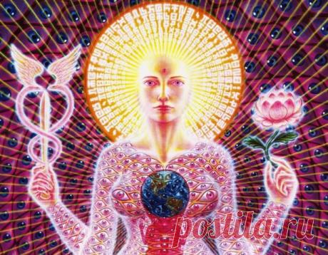 (1) Одноклассники