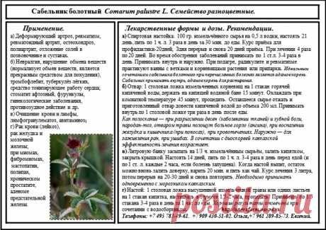 Сабельник болотный