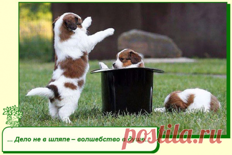Хорошего Вам настроения.