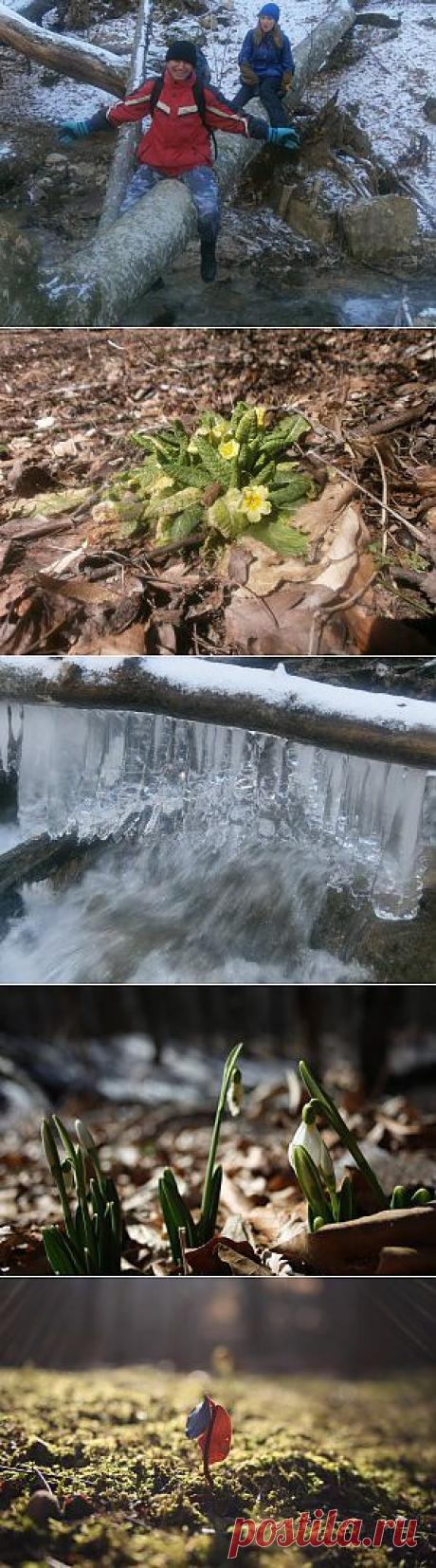 Подстанция — Перевальное (зимний) | Твори, учись и путешествуй…