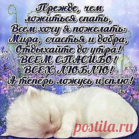 Google+