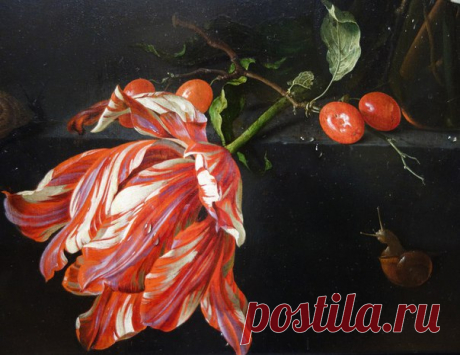 Художник Jan Davidsz de Heem / Дизайн для всех!