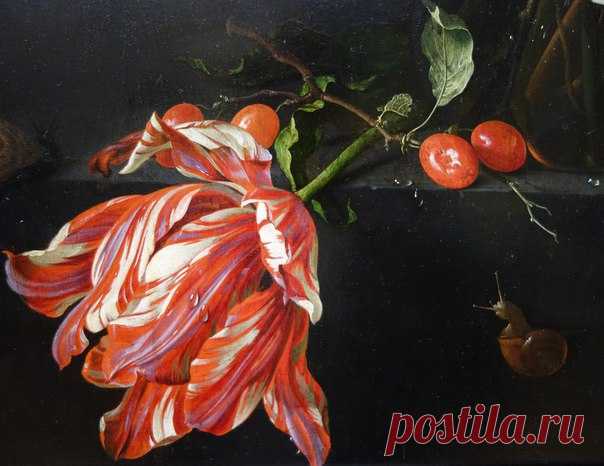 Художник Jan Davidsz de Heem / Дизайн для всех!