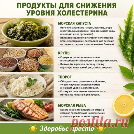 Продукты для снижения уровня холестерина