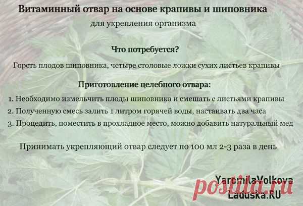Уникальный отвар для укрепления организма