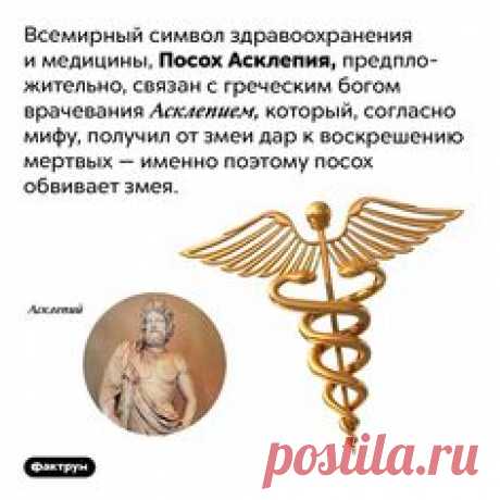 ПОСОХ АСКЛЕПИЯ-СИМВОЛ ЗДРАВОХ. И МЕДИЦИНЫ