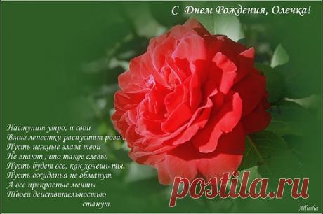 ВСЕМ ОЛЬГАМ ПОСВЯЩАЕТСЯ~~~~~~~~
~~~~~~~~ОЛЯ-ОЛЬГА-ОЛЕЧКА~~~~~~~~
Если бы Ольга солдатом была,
То за собою полки повела!
Если бы Ольга была космонавтом,
Быстро слетала б на Марс и обратно!
Если бы Ольга была альпинистом,
То Эверест покорила бы быстро!
9592359.jpg (500×333)