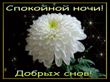 Добрых снов