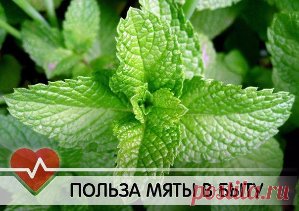 15 СПОСОБОВ ИСПОЛЬЗОВАТЬ МЯТУ В БЫТУ