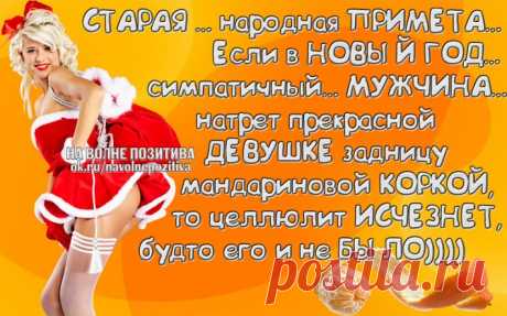 Прикольные фразочки в картинках про Наступающий Новый год (25 штук) » RadioNetPlus.ru развлекательный портал