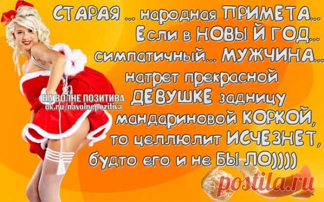 Прикольные фразочки в картинках про Наступающий Новый год (25 штук) » RadioNetPlus.ru развлекательный портал