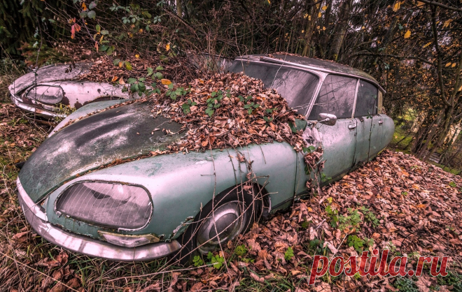 Citroen DS. Забытые сокровища на французской дороге...