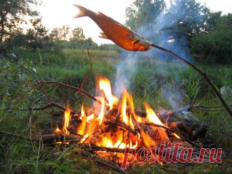 Что можно приготовить на костре