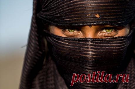 Пронзительный взгляд / Путешествия / Моя Планета