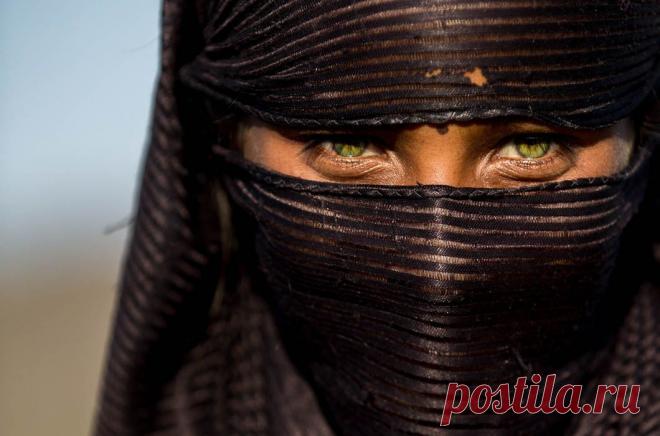 Пронзительный взгляд / Путешествия / Моя Планета