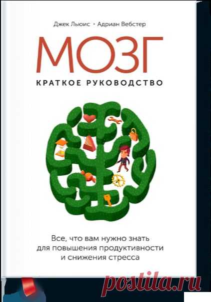 Мозг: краткое руководство (Джек Льюис) — МИФ