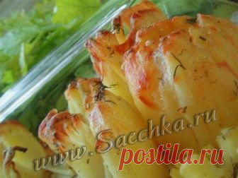 Картофель Дофине - рецепт с фото Картофель «Дофине» приготовлен в духовке с сыром - рецепт оригинален тем, что готовится просто, зато можно подать и на праздничный стол.