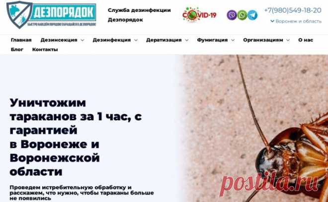 Услуги дезинсекции помещений