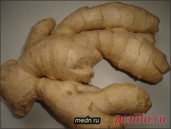 Имбирь для похудения