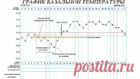 Как правильно измерить базальную температуру | Краше Всех