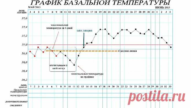 Как правильно измерить базальную температуру | Краше Всех