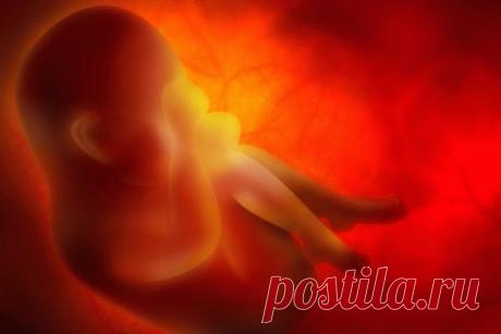 Уникальный случай: отец выяснил, что он своему сыну лишь дядя