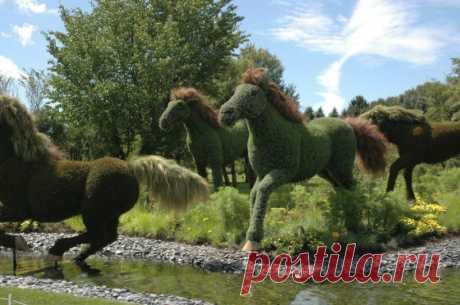 Mosaïcultures Internationales de Montréal - Путешествуем вместе