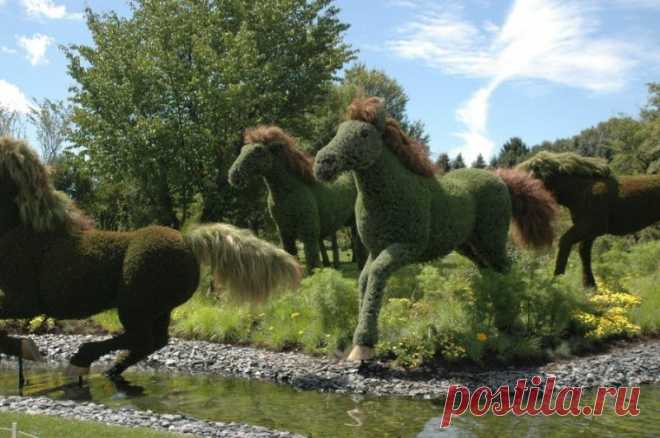 Mosaïcultures Internationales de Montréal - Путешествуем вместе