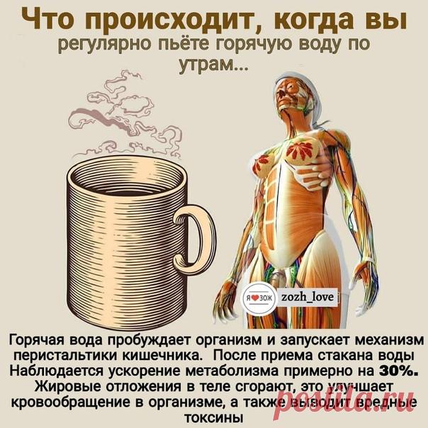 А Вы пьете по утрам горячую воду? 

Забираем в копилочку