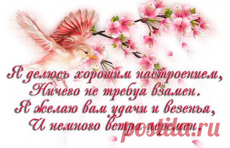 Желаю Вам, от Всей Души,
Чтоб радость каждый день сопровождала!
И чтобы Вы не плакали в тиши,
Когда Судьба Вас, словно мяч, кидала.
Добром всегда пусть светятся глаза!
Они Души прямое отражение,
Пусть солнце светит и пройдет гроза,
Так дай Вам Бог Надежды и Терпенья!