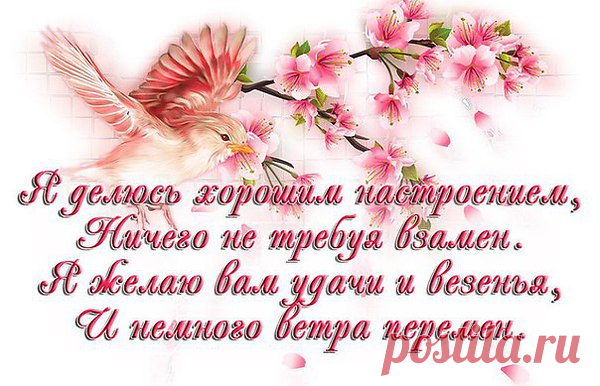 Желаю Вам, от Всей Души,
Чтоб радость каждый день сопровождала!
И чтобы Вы не плакали в тиши,
Когда Судьба Вас, словно мяч, кидала.
Добром всегда пусть светятся глаза!
Они Души прямое отражение,
Пусть солнце светит и пройдет гроза,
Так дай Вам Бог Надежды и Терпенья!