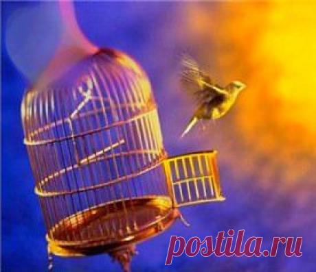 Решетки здоровья и энергии - МАГИЯ - ВОЛШЕБСТВО... - Всё обо ВСЁМ... - В гостях у Бабухи-Ягухи...