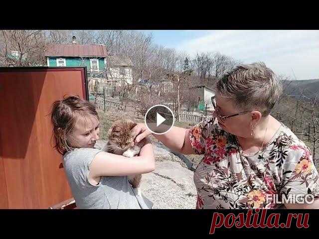 НЕУЖЕЛИ ИСПОРТИЛА  ПОСЛЕ СТИРКИ///МОЙ СВИТЕР///УБОРКА В ОГОРОДЕ/// Всем привет! С Вами канал- ТАТЬЯНА БЕЛИКОВА. Мой канал о моей жизни с ребенком без приукрасс и конечно же о моем хобби вязании ,без которого я не обхо...