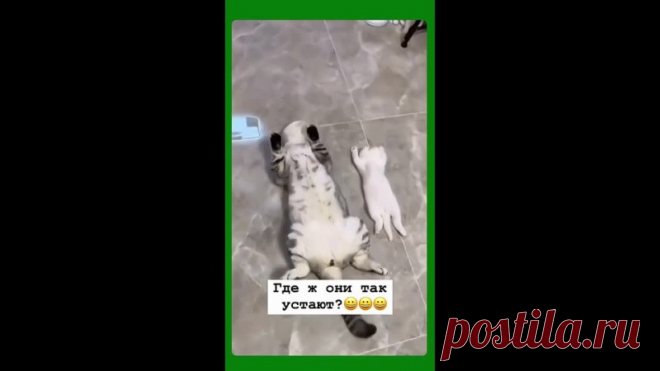 Чистая совесть - спокойный, крепкий сон!