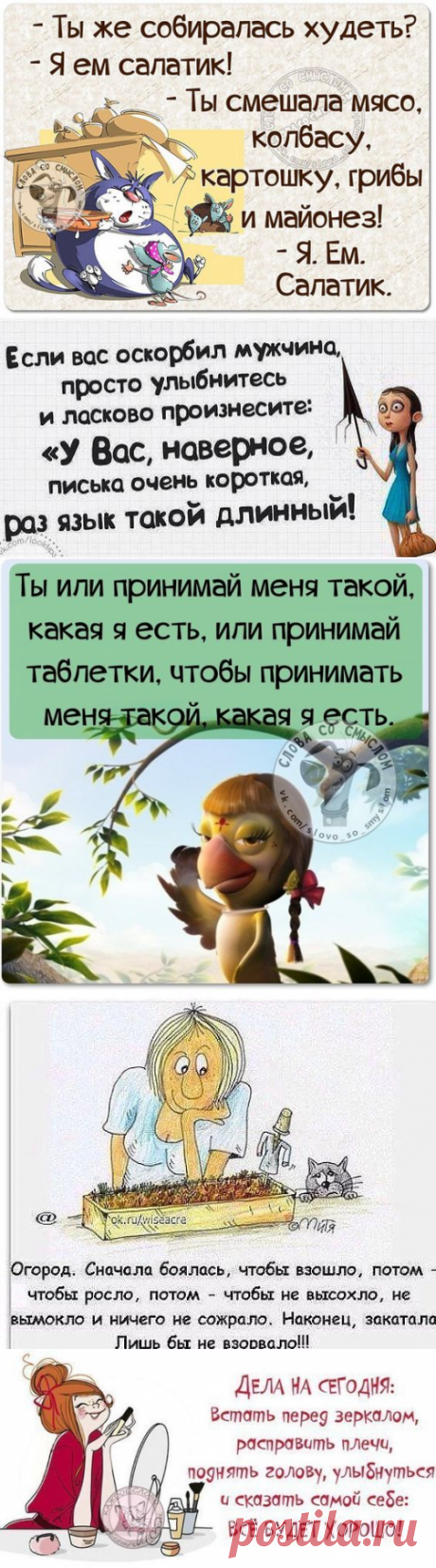 Картинки с юмором: прикольные надписи и фразы | В темпі життя