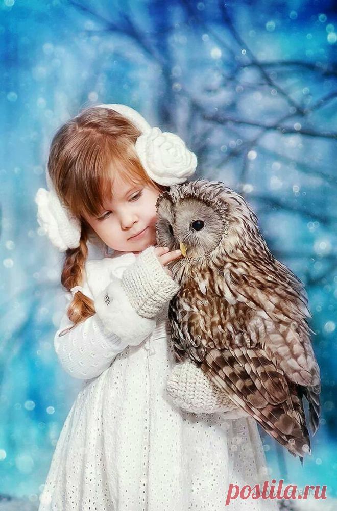 CiuHu3kW0AEjoGq.jpg:large (1024×1555)